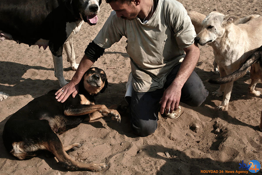 لک‌لک‌ها به دنبال آشیانه و راهبه‌ها به دنبال آرامش