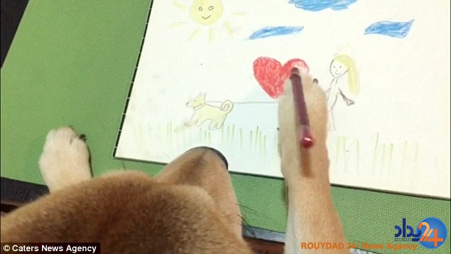 سگ نقاشی که فکر می‌کند انسان است (فیلم و تصاویر)