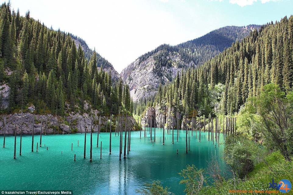 تصاویر جادویی از جنگلی غرق‌شده در دریاچه