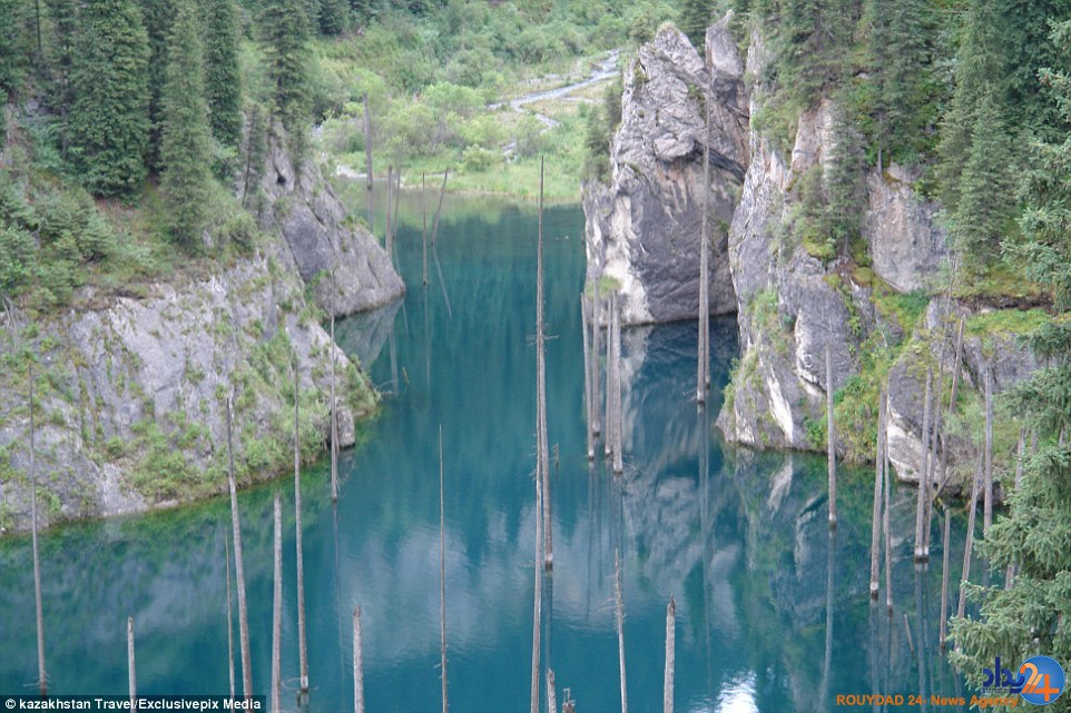 تصاویر جادویی از جنگلی غرق‌شده در دریاچه