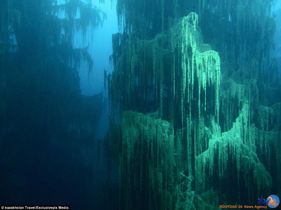تصاویر جادویی از جنگلی غرق‌شده در دریاچه
