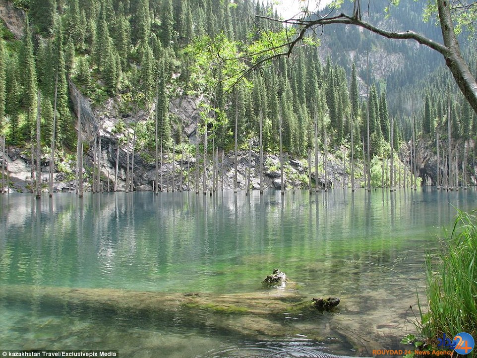 تصاویر جادویی از جنگلی غرق‌شده در دریاچه
