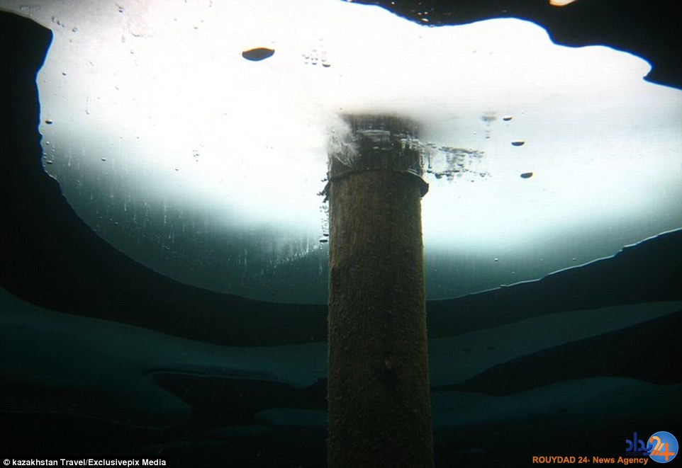 تصاویر جادویی از جنگلی غرق‌شده در دریاچه