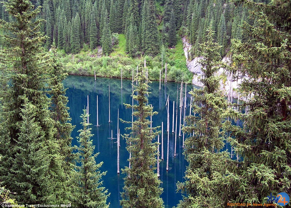 تصاویر جادویی از جنگلی غرق‌شده در دریاچه