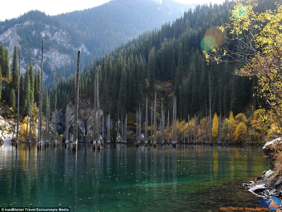 تصاویر جادویی از جنگلی غرق‌شده در دریاچه