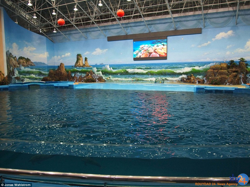 حیوانات افسرده در باغ‌وحش کره شمالی و میمونی که سیگار می‌کشد (فیلم و تصاویر)