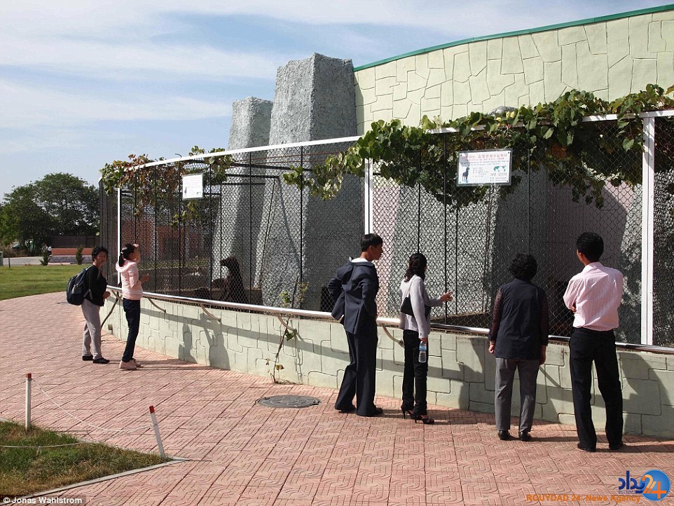 حیوانات افسرده در باغ‌وحش کره شمالی و میمونی که سیگار می‌کشد (فیلم و تصاویر)