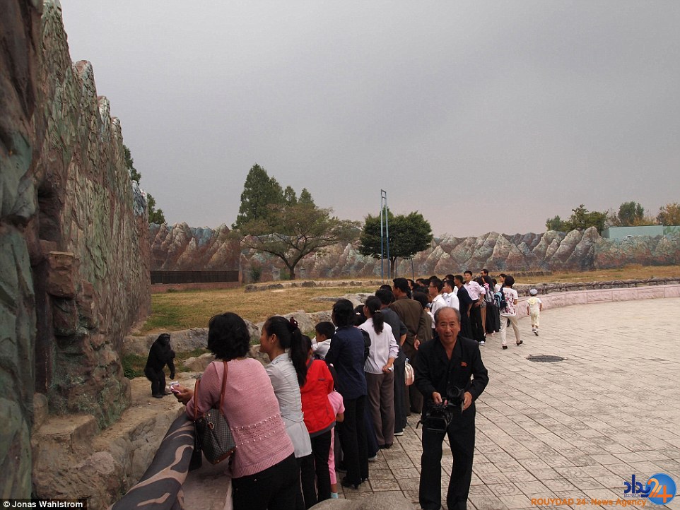 حیوانات افسرده در باغ‌وحش کره شمالی و میمونی که سیگار می‌کشد (فیلم و تصاویر)