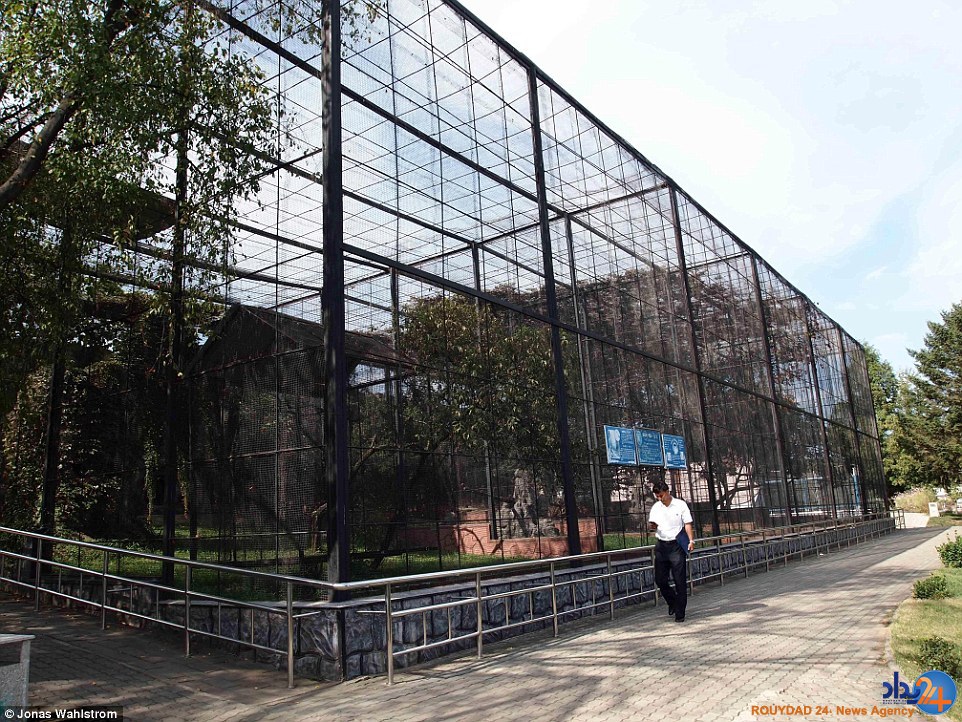 حیوانات افسرده در باغ‌وحش کره شمالی و میمونی که سیگار می‌کشد (فیلم و تصاویر)