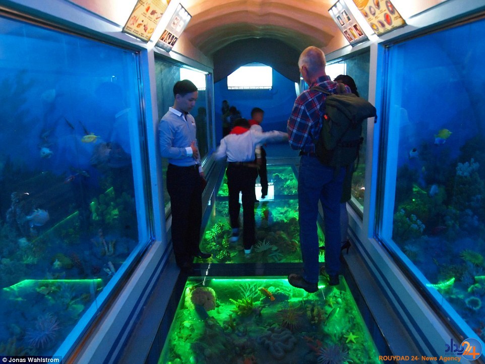 حیوانات افسرده در باغ‌وحش کره شمالی و میمونی که سیگار می‌کشد (فیلم و تصاویر)