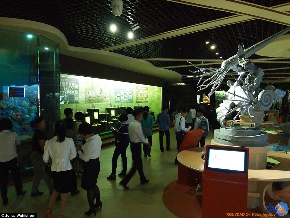 حیوانات افسرده در باغ‌وحش کره شمالی و میمونی که سیگار می‌کشد (فیلم و تصاویر)