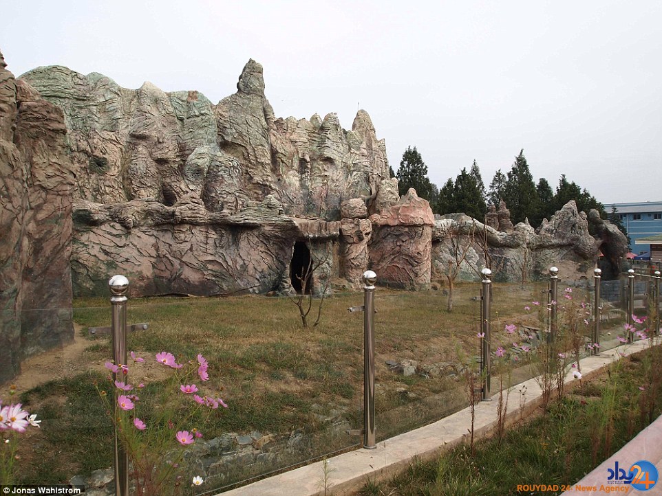 حیوانات افسرده در باغ‌وحش کره شمالی و میمونی که سیگار می‌کشد (فیلم و تصاویر)