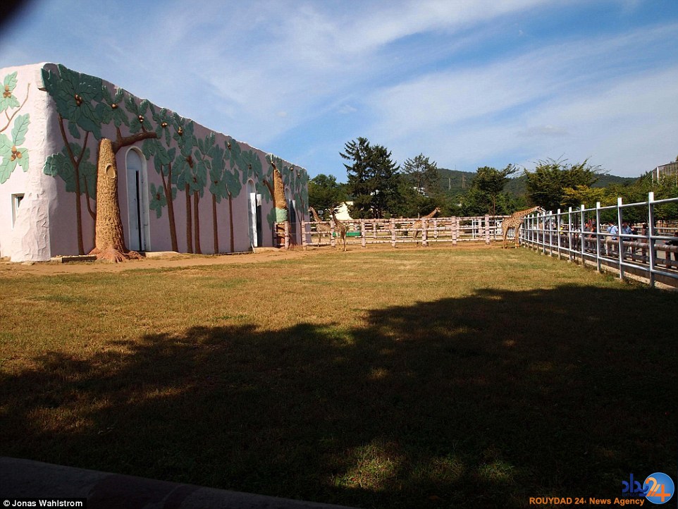 حیوانات افسرده در باغ‌وحش کره شمالی و میمونی که سیگار می‌کشد (فیلم و تصاویر)