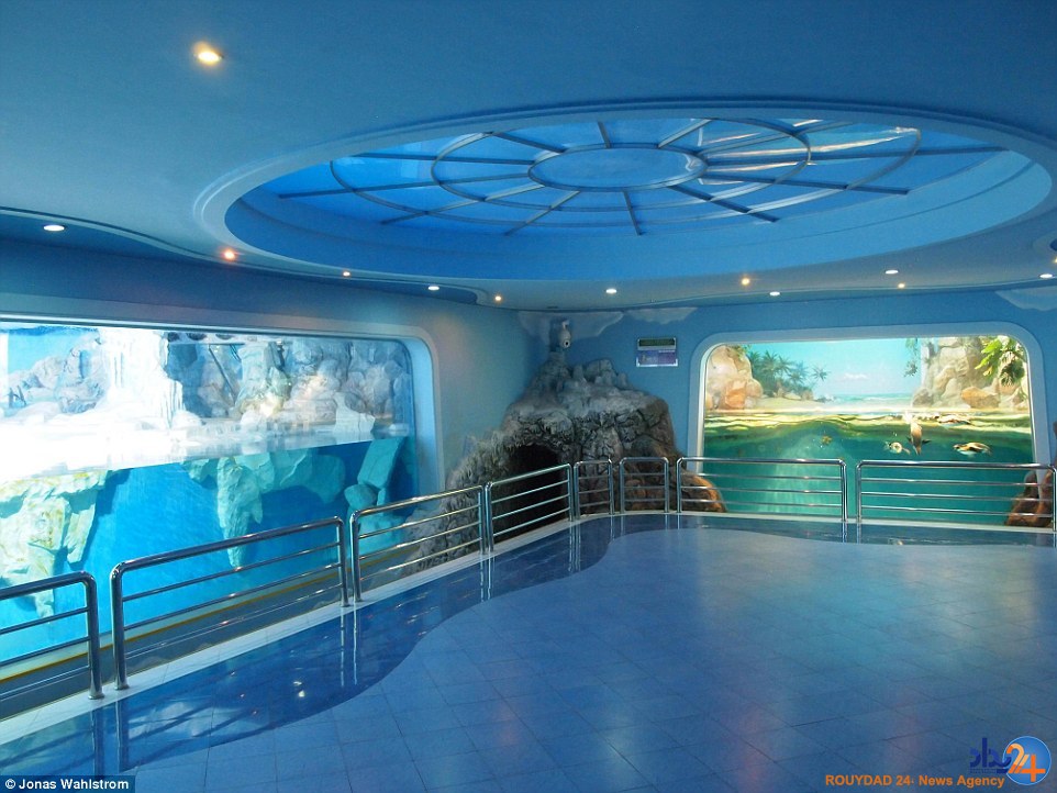 حیوانات افسرده در باغ‌وحش کره شمالی و میمونی که سیگار می‌کشد (فیلم و تصاویر)