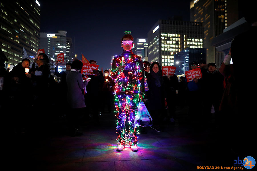 از نیلوفرآبی در زمین ترکخورده تا ویرانههای یک جنگ از نیلوفرآبی در زمین ترکخورده تا ویرانههای یک جنگ