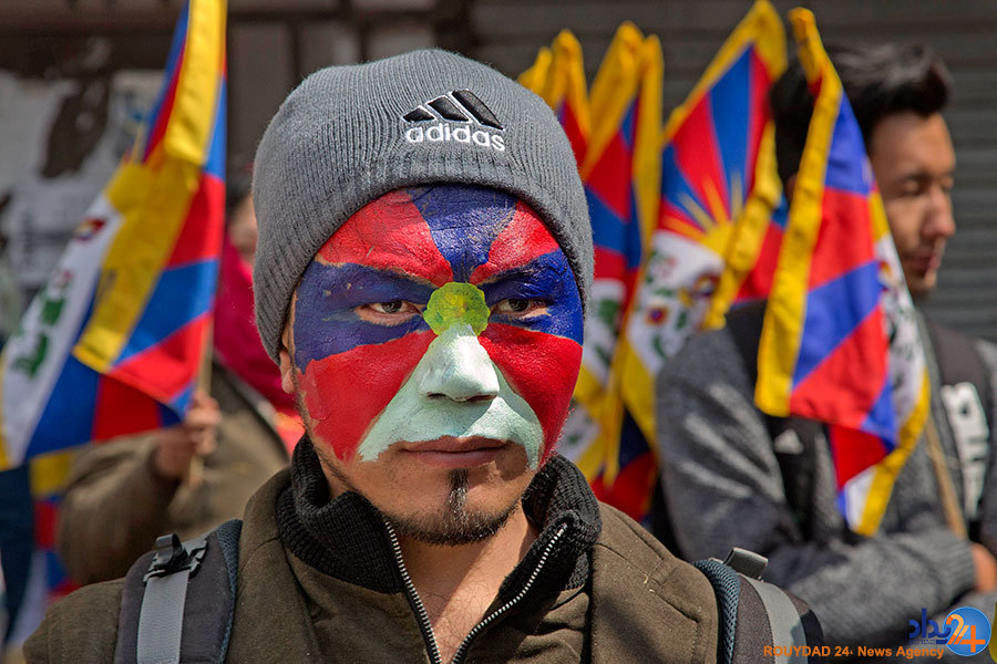 از نیلوفرآبی در زمین ترکخورده تا ویرانههای یک جنگ از نیلوفرآبی در زمین ترکخورده تا ویرانههای یک جنگ