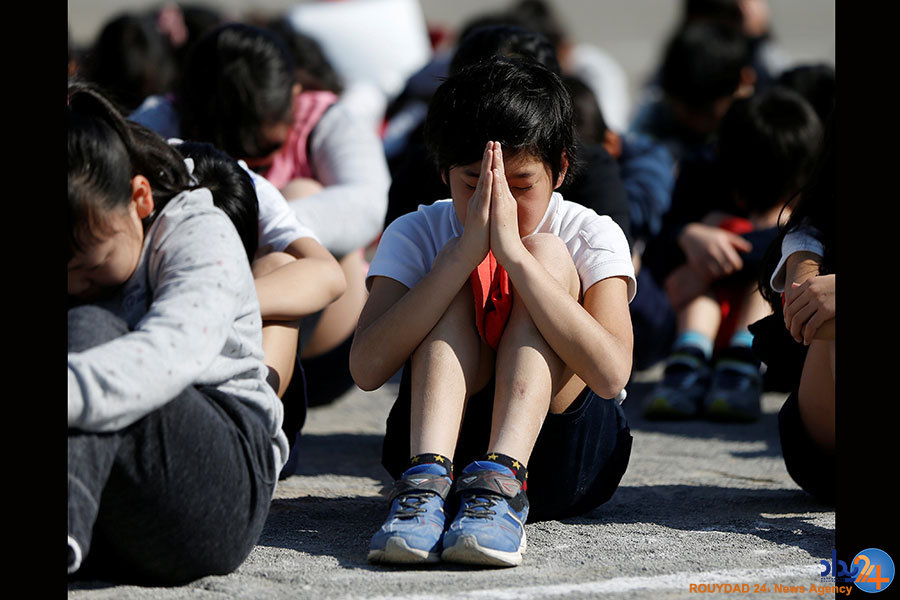 از نیلوفرآبی در زمین ترکخورده تا ویرانههای یک جنگ از نیلوفرآبی در زمین ترکخورده تا ویرانههای یک جنگ