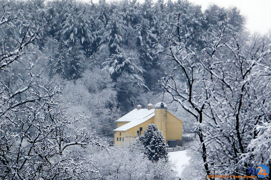 از نیلوفرآبی در زمین ترکخورده تا ویرانههای یک جنگ از نیلوفرآبی در زمین ترکخورده تا ویرانههای یک جنگ