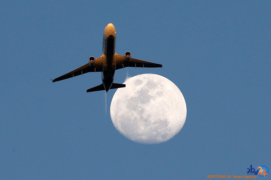 از نیلوفرآبی در زمین ترکخورده تا ویرانههای یک جنگ از نیلوفرآبی در زمین ترکخورده تا ویرانههای یک جنگ