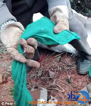 گرفتن، پختن و خوردن موش‌ها توسط مرد چینی (فیلم و تصاویر)