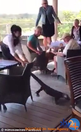 بزمجه غول‌پیکری که به رستوران رفته بود چطور ادب شد؟ (فیلم و تصاویر)