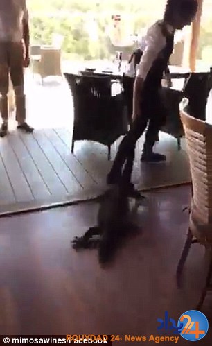 بزمجه غول‌پیکری که به رستوران رفته بود چطور ادب شد؟ (فیلم و تصاویر)