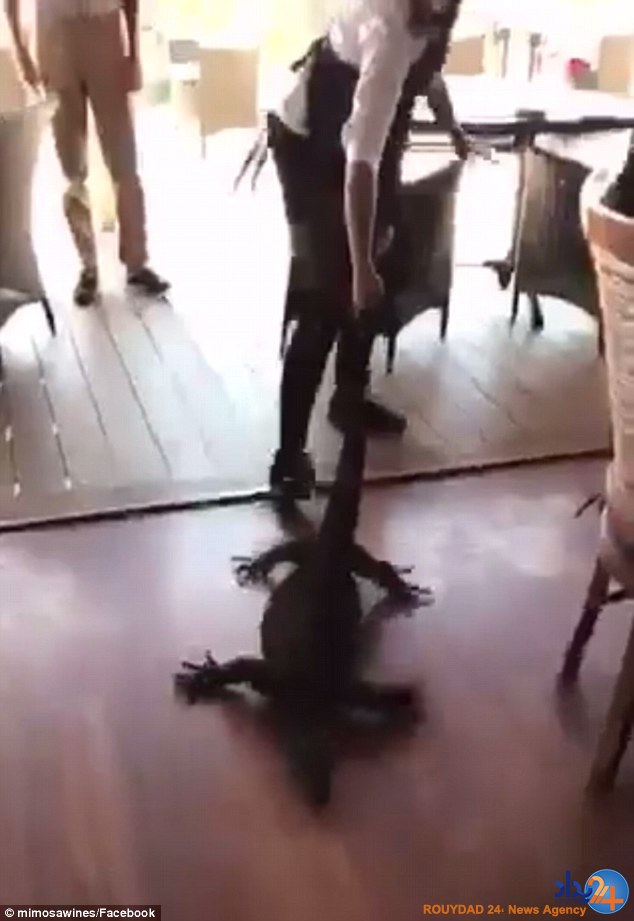 بزمجه غول‌پیکری که به رستوران رفته بود چطور ادب شد؟ (فیلم و تصاویر)