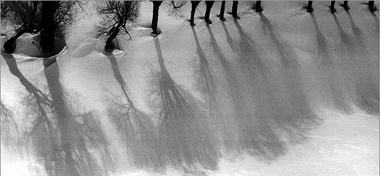 چهره دیگری از عباس کیارستمی چهره دیگری از عباس کیارستمی