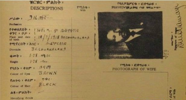 ماندلا را سیا لو داده بود