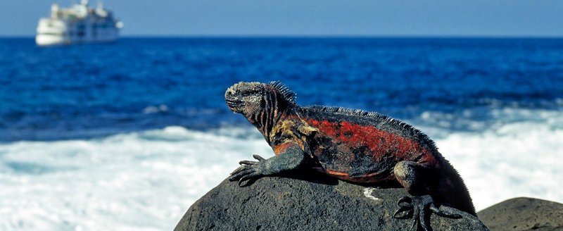 بهشت‌های زمینی در معرض خطر  (تصاویر)