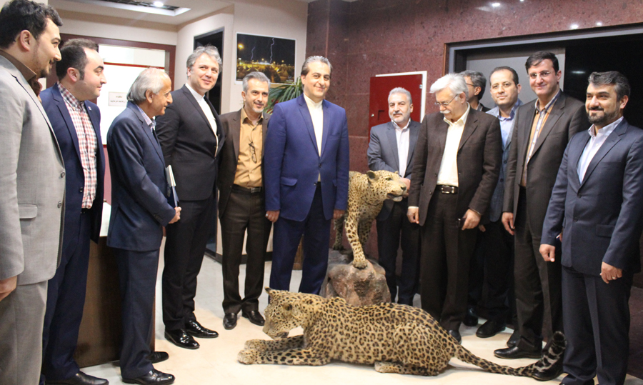 تفاهم نامه بیمه پلنگ ایرانی بیمه «ما» امضا شد
