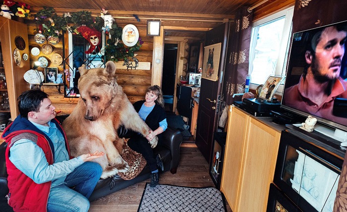 فرزندخوانده غول‌پیکر زوج روسی (تصاویر)