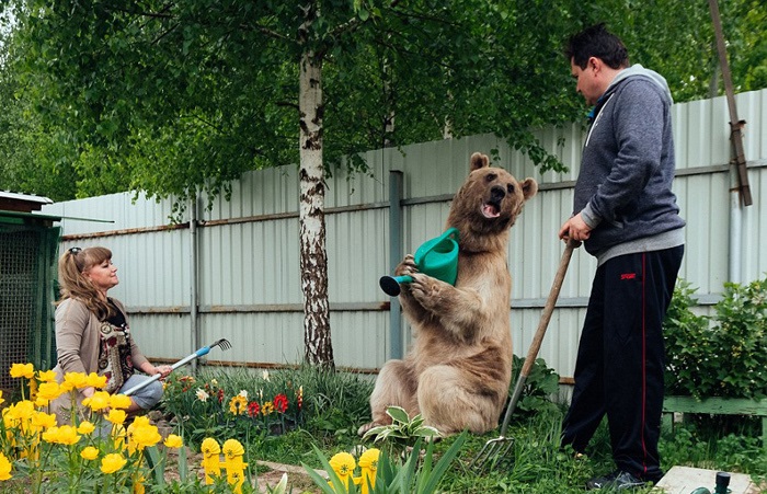 فرزندخوانده غول‌پیکر زوج روسی (تصاویر)