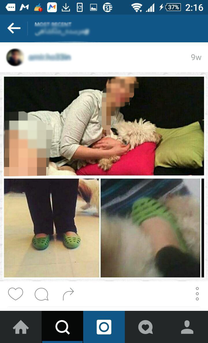 پلیس فتا در پی دختر حیوان آزار شیشه ای (تصاویر) پلیس فتا در پی دختر حیوان آزار شیشه ای (تصاویر)