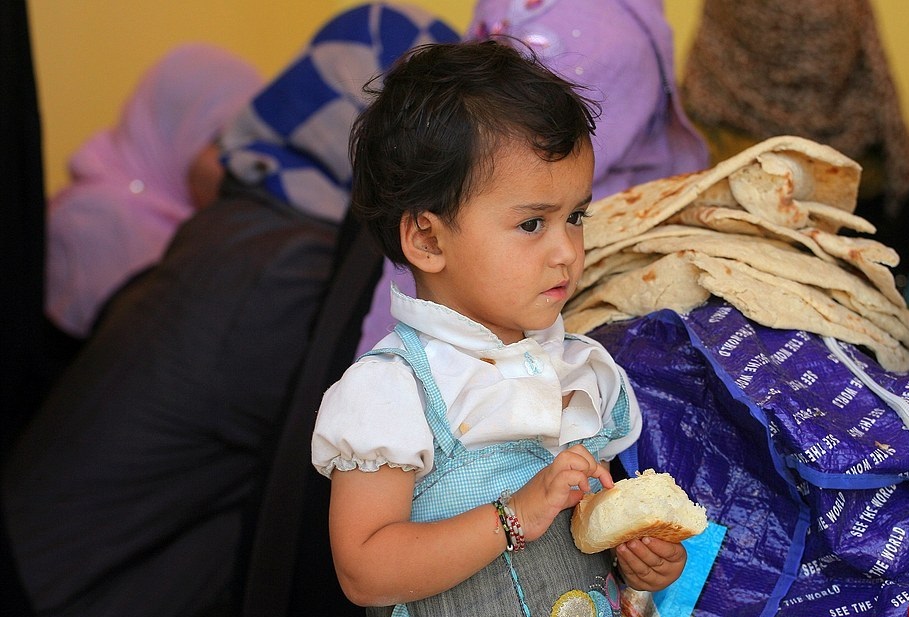 بحران در فلوجه /داعش مردم فلوجه را سپر انسانی خود قرار داده است (تصاویر) بحران در فلوجه /داعش مردم فلوجه را سپر انسانی خود قرار داده است (تصاویر)