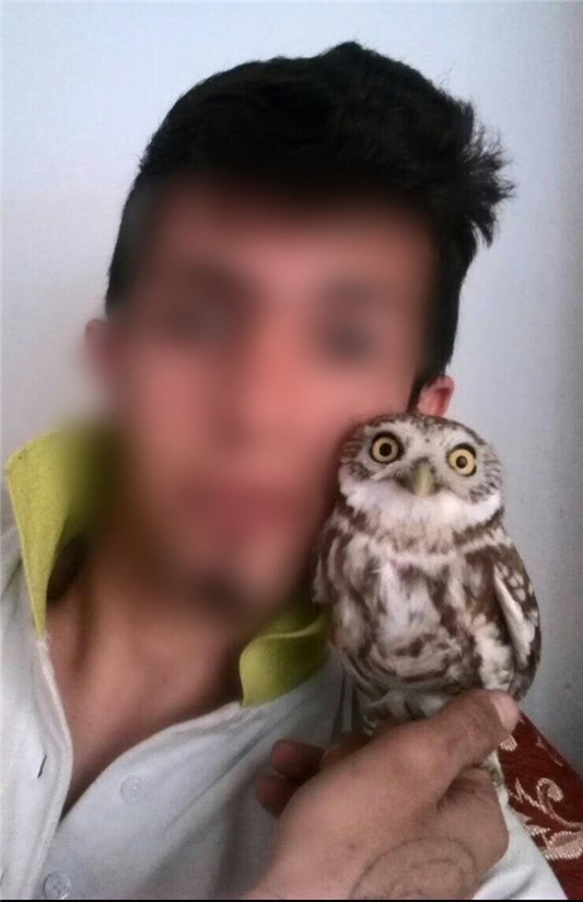 جنایات جنایات