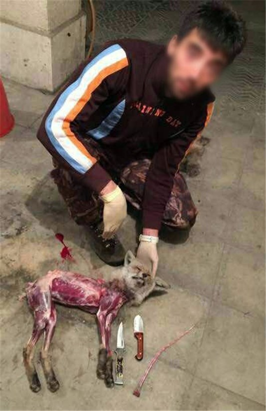 جنایات جنایات