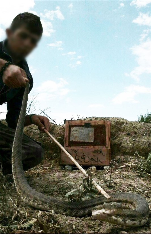 جنایات جنایات