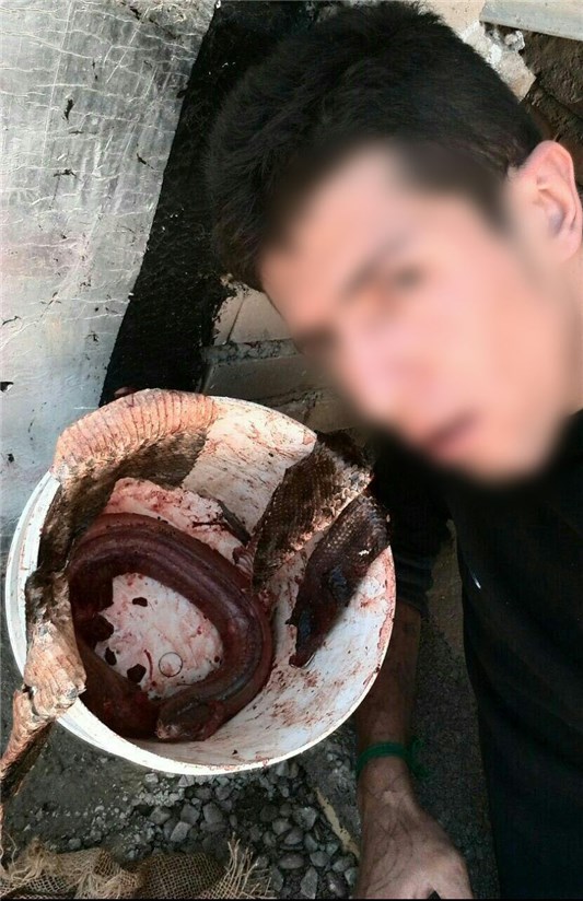 جنایات جنایات