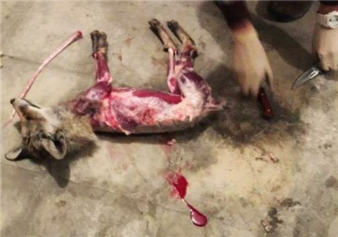 جنایات جنایات