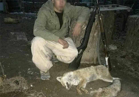 جنایات جنایات