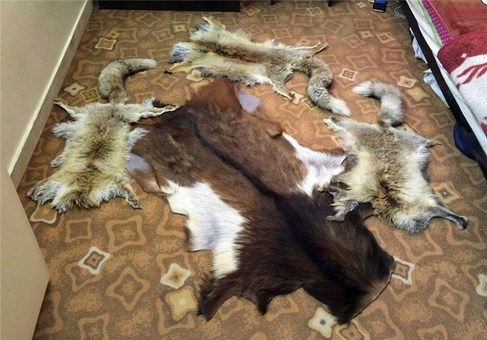 جنایات جنایات