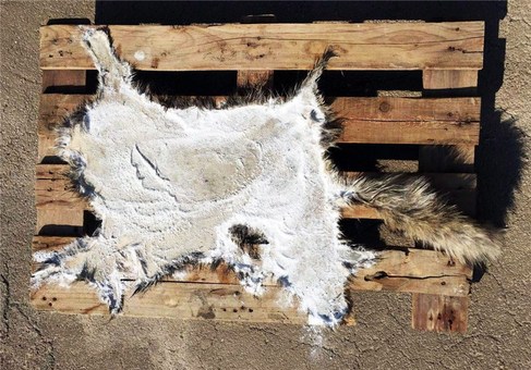 جنایات جنایات