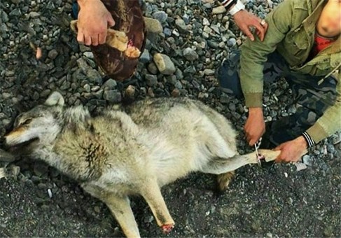 جنایات جنایات