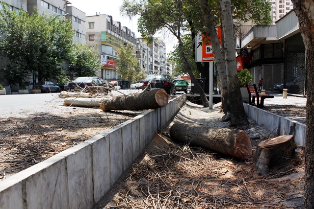 دولت به داد خیابان ولیعصر رسید