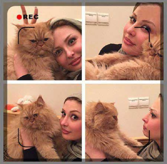 نیوشا ضیغمی و گربه اش در یک قاب (تصاویر)