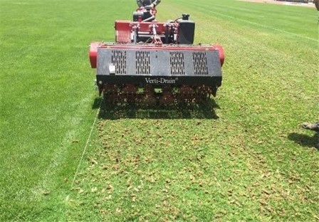 تصاویری از ترمیم چمن ورزشگاه آزادی