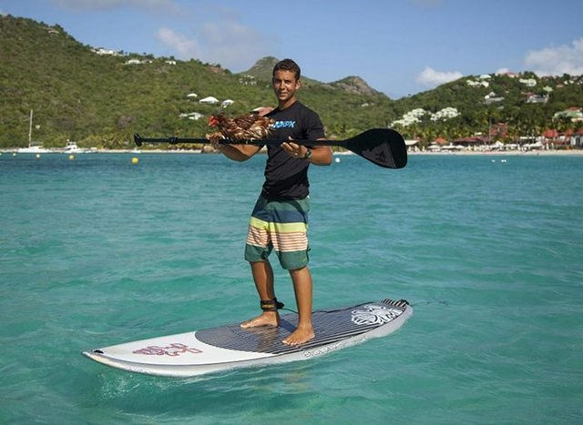 مرغ خوشبختی که دور دنیا می‌گردد ( تصاویر)