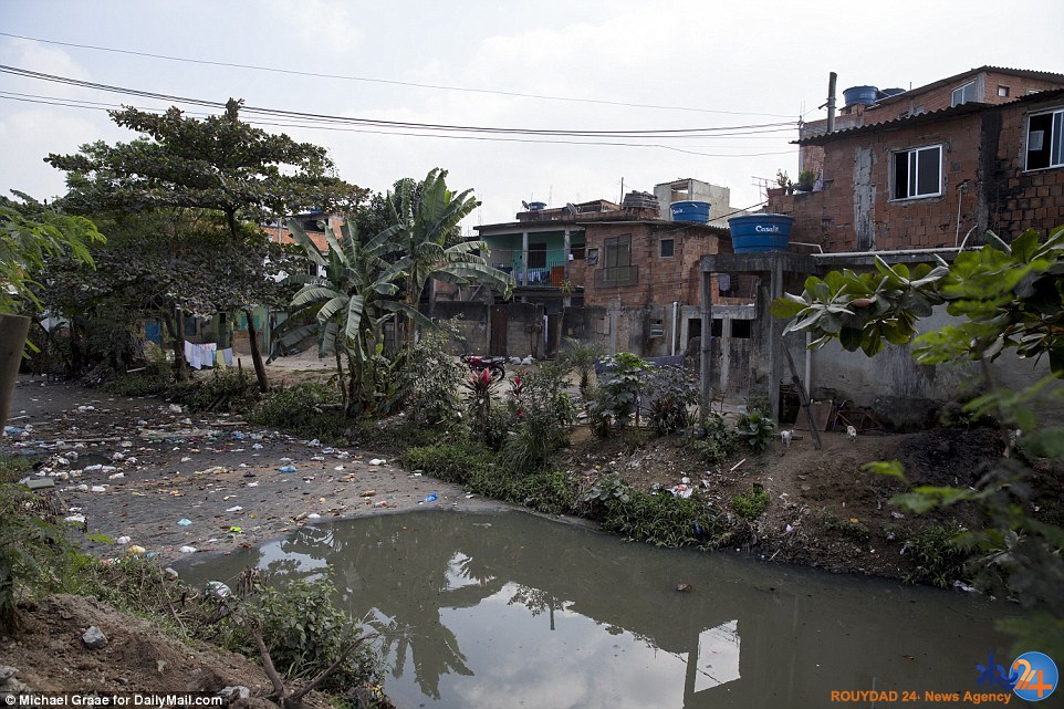 سالن های ورزشی نیمه کاره برزیل تنها 5 هفته مانده به المپیک ریو (تصاویر) سالن های ورزشی نیمه کاره برزیل تنها 5 هفته مانده به المپیک ریو (تصاویر)