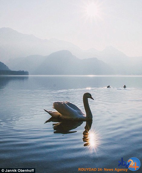 عکس‌های شگفت‌انگیز از عکاسی که تنها 16 سال دارد